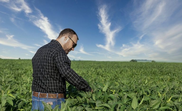 ChemTeh Agro angajează Manager Vânzări semințe, pesticide și fertilizanți