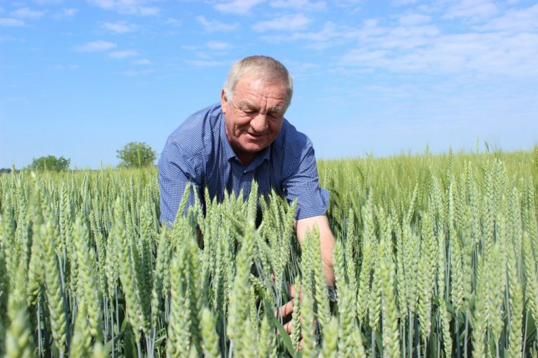 Pavel Cebotari: Pe 60% din suprafețe am trecut la No-Till. Schimbările climaterice ne-au determinat