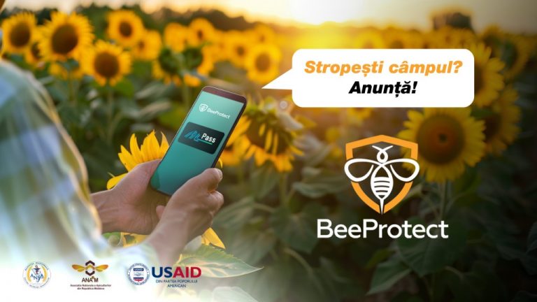 Agricultorii și apicultorii pot utiliza sistemul actualizat BeeProtect pentru a preveni intoxicările albinelor 