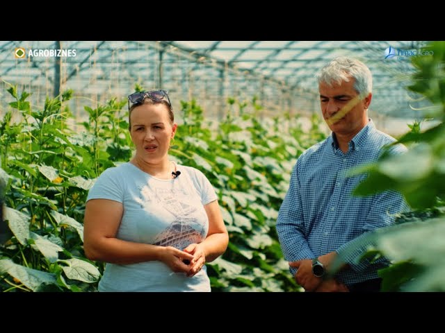 Lucia Cașuneanu, legumicultoare: Plantele nu creșteau, apoi se uscau. Cu îngrășămintele Timac Agro am soluționat problema