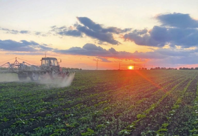 AIPA a autorizat spre plată peste 70 milioane de lei în luna noiembrie