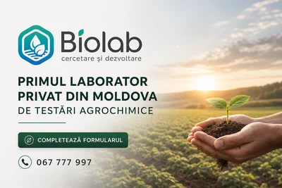 Biolab banner advertising Moldova's first private agrochemical testing lab; shows logo, 'Completează formularul' button, contact number, and a seedling cupped by hands over a field at sunrise.