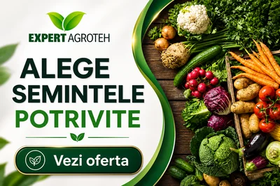 Expert AgroTech banner: 'Alege semintele potrivite' with a green 'Vezi oferta' button and a colorful display of vegetables on the right.
