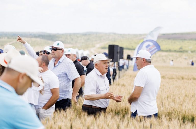 ziua campului agrostoc