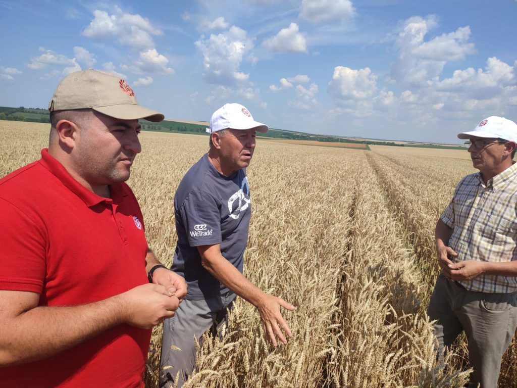 rezultate grau limagrain