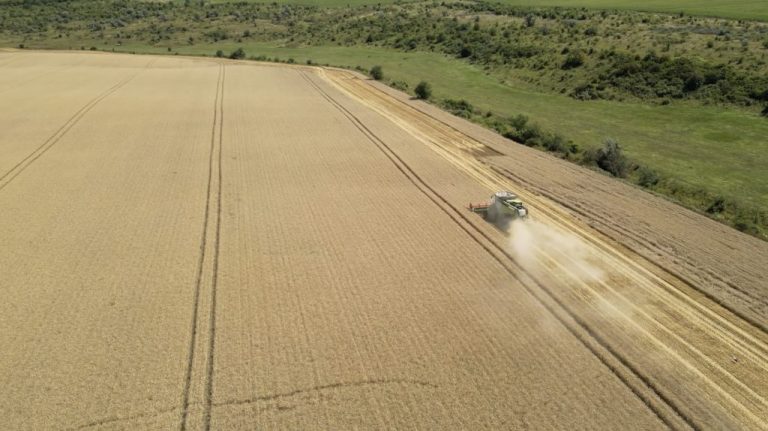 SUA: Producția de grâu a atins cel mai ridicat nivel din 2016