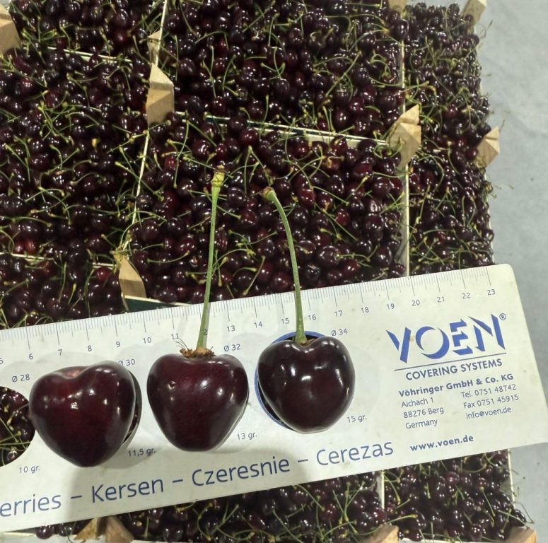 calibru cireșe