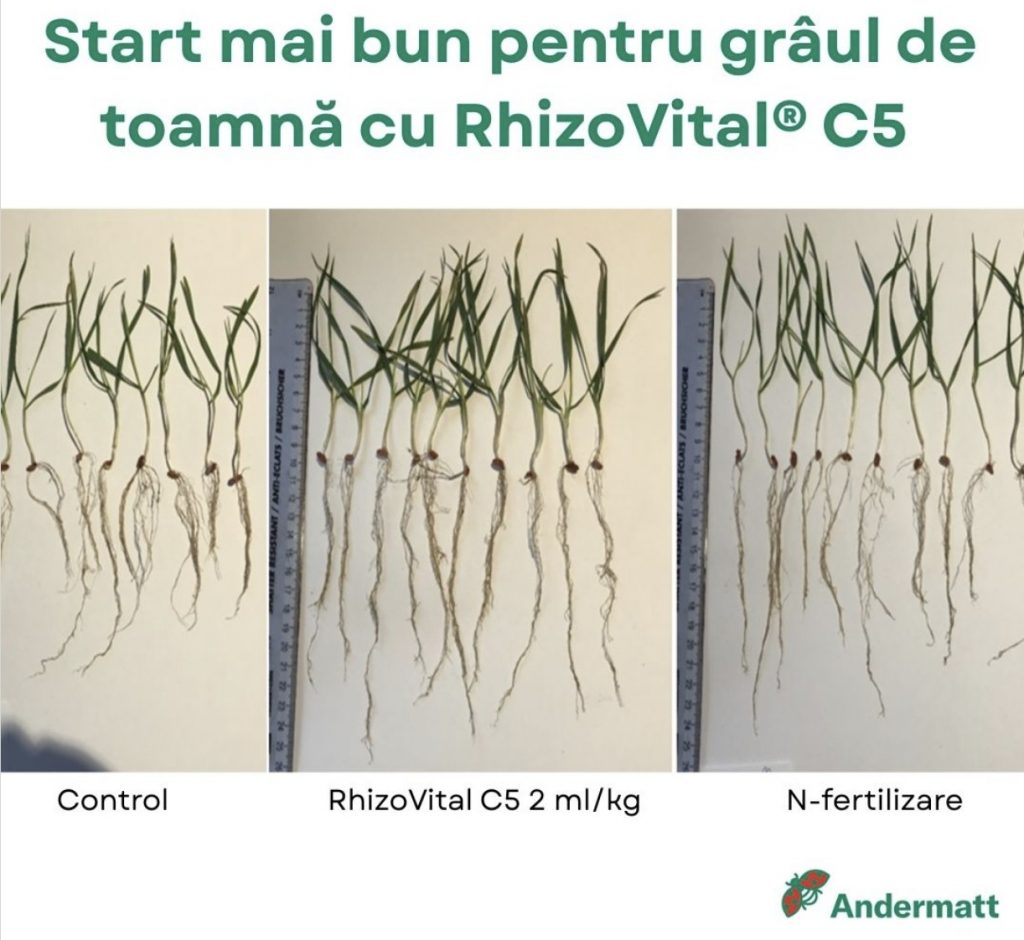 rhizovital biostimulator