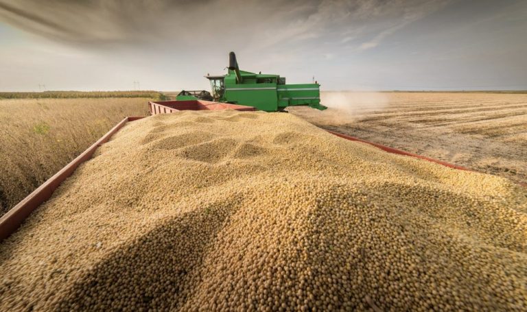 O companie din cadrul Trans-Oil va investi 43 mil. euro într-o fabrică de procesare în România