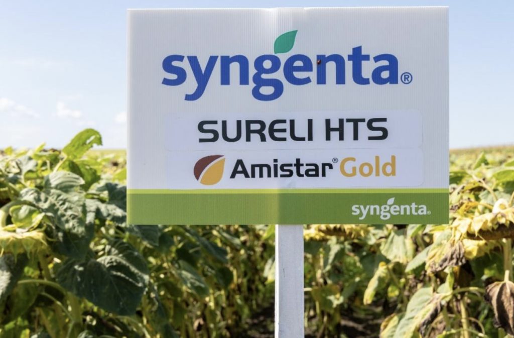 sureli floarea soarelui