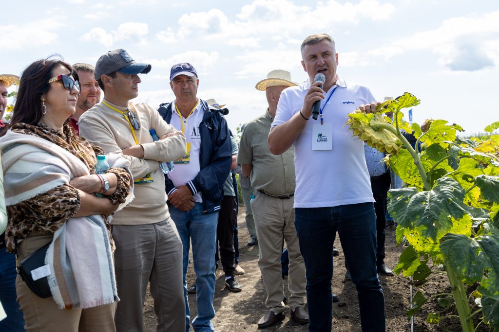 vitalie ursachi syngenta