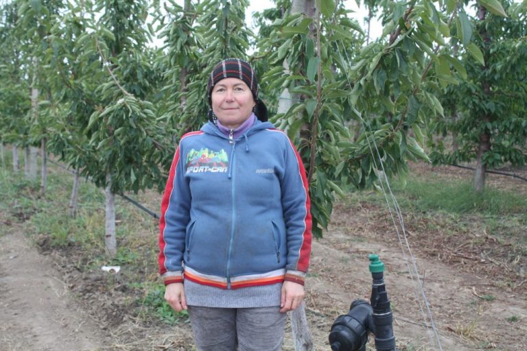 Viorica Ostafeiciuc: „Reveniți din străinătate, am investit într-o livadă de cireș. IFAD ne-a ajutat să ne dezvoltăm fără să stagnăm”