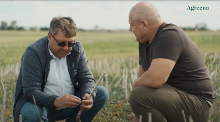 Agreena a emis certificate de carbon după standardul Verra! Fermierii moldoveni primesc banii pentru creditele de carbon generate în câmp