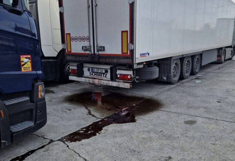 Cozi imense de camioane cu fructe la frontiera română. Exportator: „Luptăm ani la rând pentru încrederea rețelelor din UE, dar putem pierde totul într-o săptămână”