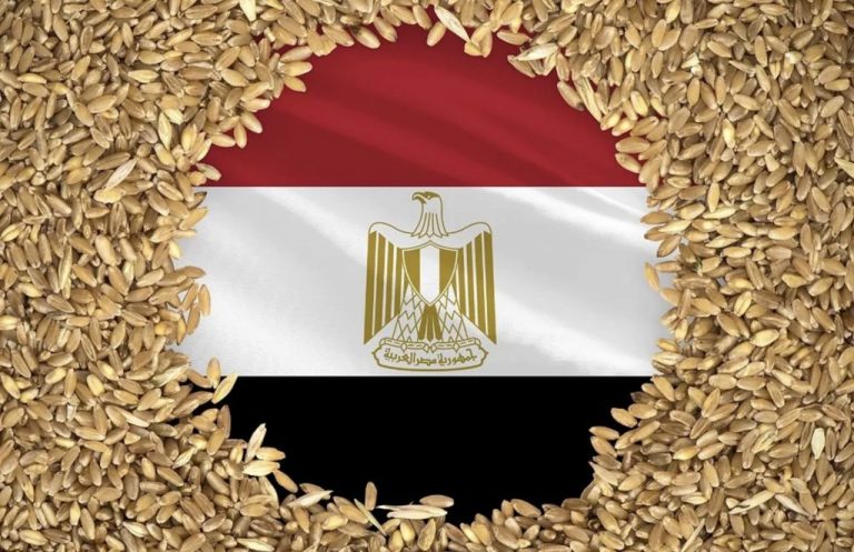 Trecerea de la GASC la Future of Egypt aruncă piața grâului în haos
