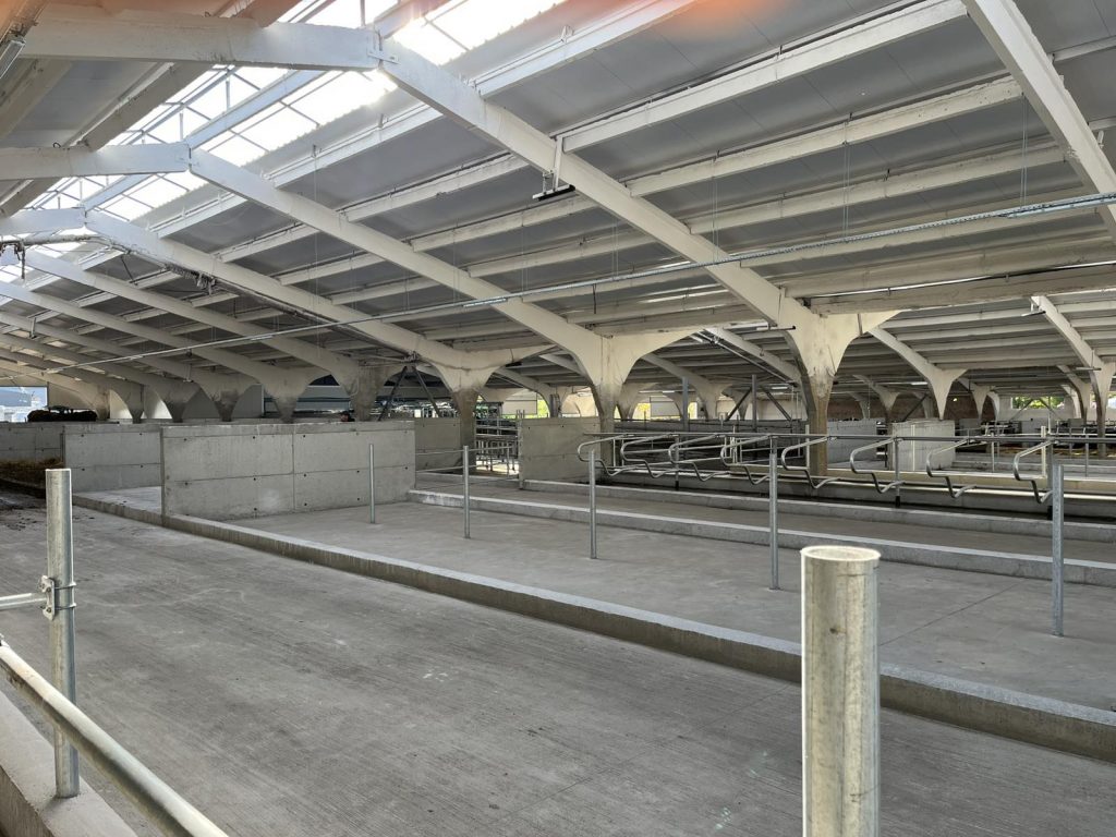 ferma rnouă gnatiuc