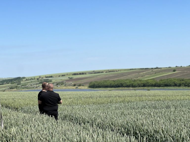 Distribuirea subvențiilor AIPA pe categorii de fermieri