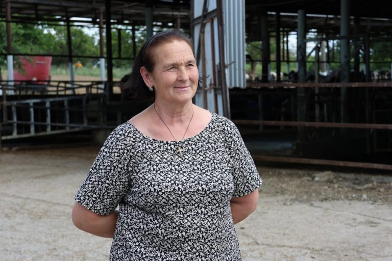 Lidia Gnatiuc, administratoare fermă de vaci: „AGGRI ne-a ajutat să facem un salt de cinci ani într-unul singur”