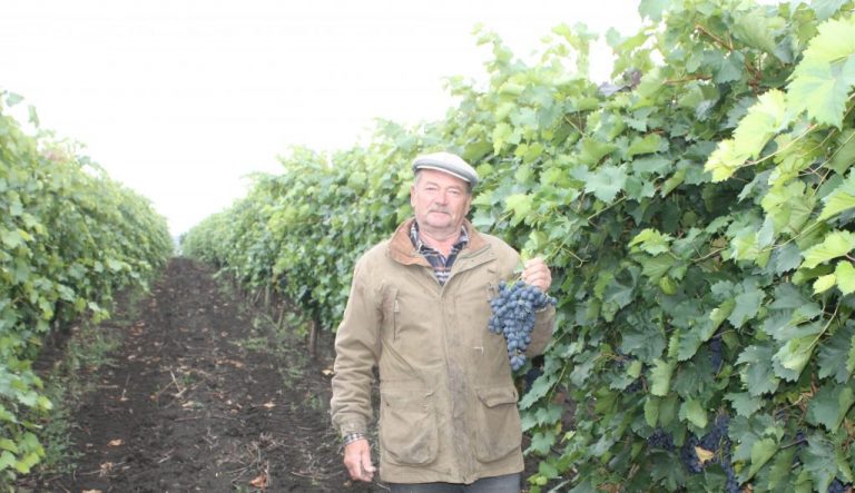 Serghei Casian: „Grantul IFAD pentru irigarea viței-de-vie este primul și unicul obținut după 25 de ani de muncă în agricultură. Sper, nu și ultimul”