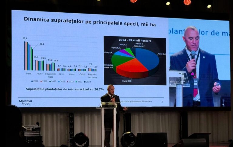 Conferința Businessul Fructelor: soluțiile producătorilor pentru livezile moderne și acces pe piețele externe