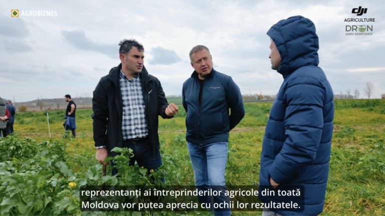 De la tratamente și fertilizări la culturi de acoperire – rezultatele utilizării dronelor DJI în Moldova