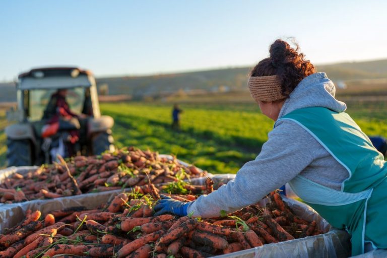 UE și PNUD lansează un proiect de 3 mln € pentru crearea Registrului Digital Național al Fermierilor și modernizarea ANOFM