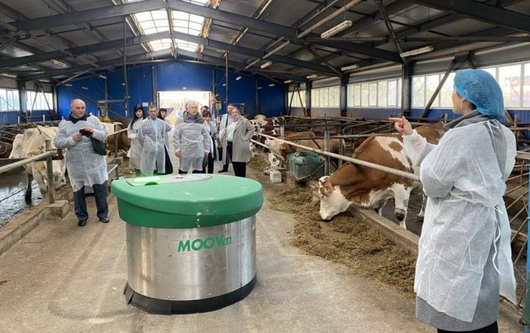 Cum să elimini pierderile ascunse la fermele de vaci. Instruire