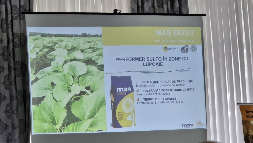 prezentare mas seeds