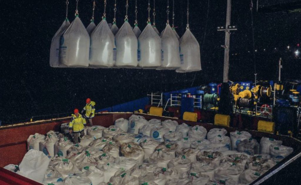 ingrasaminte azotoase