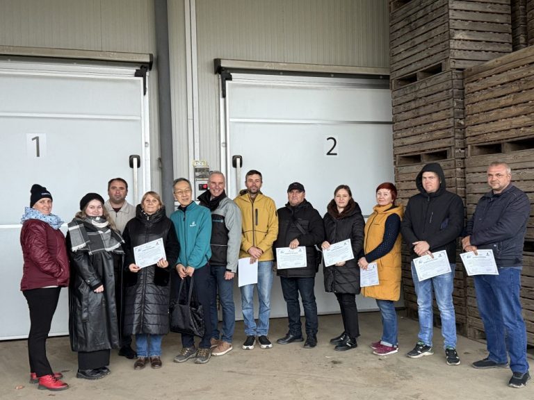 Legumicultorii din Moldova au beneficiat de instruiri complexe datorită suportului JICA și ADMA