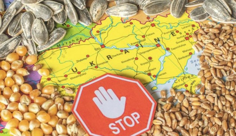 Ucraina va continua licențierea exporturilor de cereale către cinci state ale UE