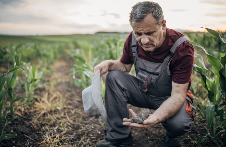 Cartea Istoriei Câmpului devine obligatorie. Analizele de sol – fundamentul noii evidențe agricole