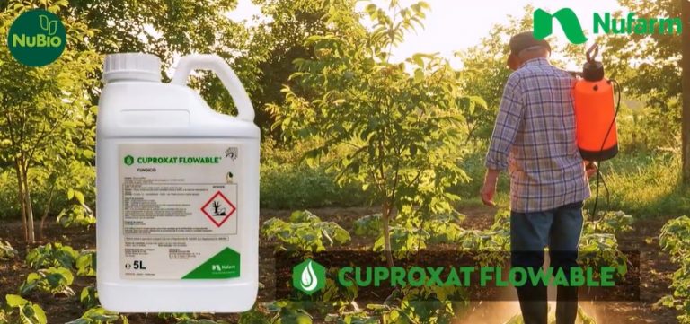 Fungicidul Cuproxat Flowable în tratamentele de iarnă – când și de ce se aplică