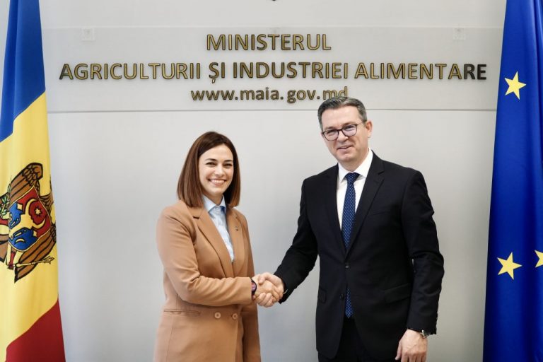 Moldova și Macedonia de Nord consolidează cooperarea în parcursul european, cu accent pe sectorul vitivinicol
