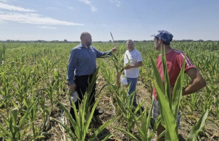 UTM vrea să modernizeze Stațiunea de Cercetare și Extensiune în Agricultură Criuleni