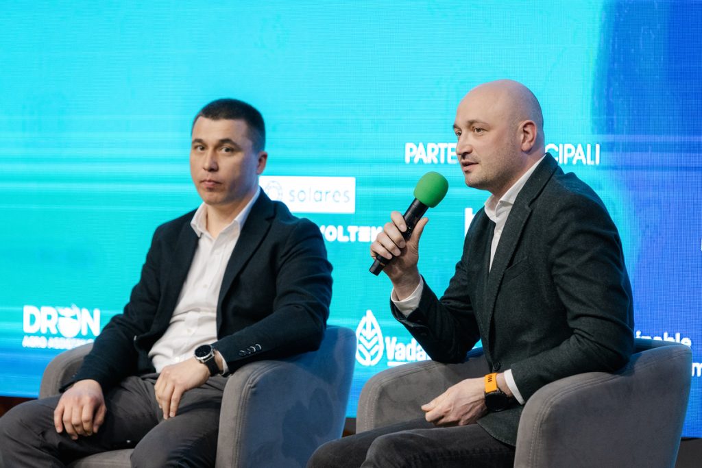 alexandru tipa pomul regal