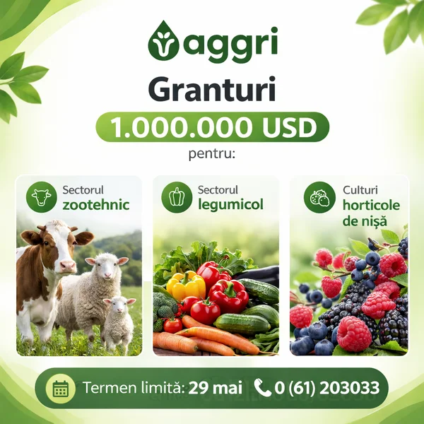 Banner promoting Agri Granturi of 1.000.000 USD, showing three sectors: zootechnic, legumicol, horticulture de nișă with cows, vegetables, berries. Contact line at bottom.