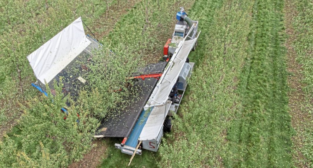 Aerial view of a blue-gray harvest machine processing crops in a green field.