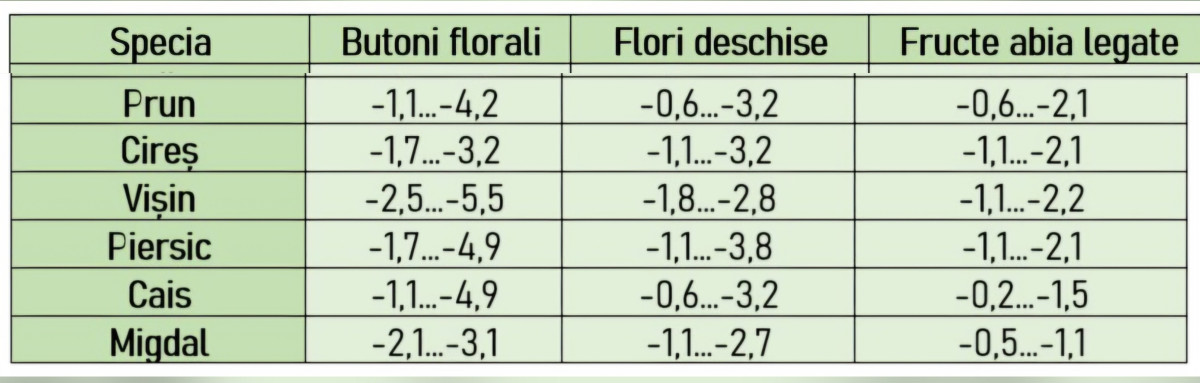 temperatura de înghet