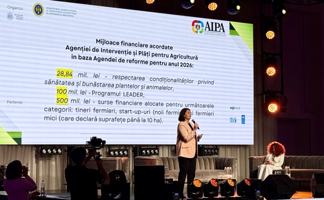 diana cosalic aipa