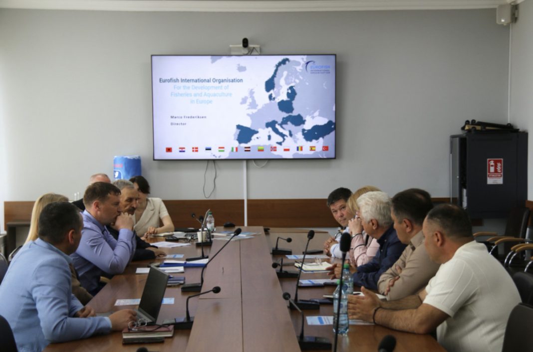 A conference room with people seated around a long wooden table facing a mounted presentation screen showing a map of Europe and a title about Eurofish International Organisation for the development of fisheries in Europe.
