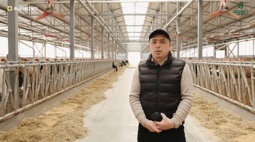 ion popescu buffalo farm