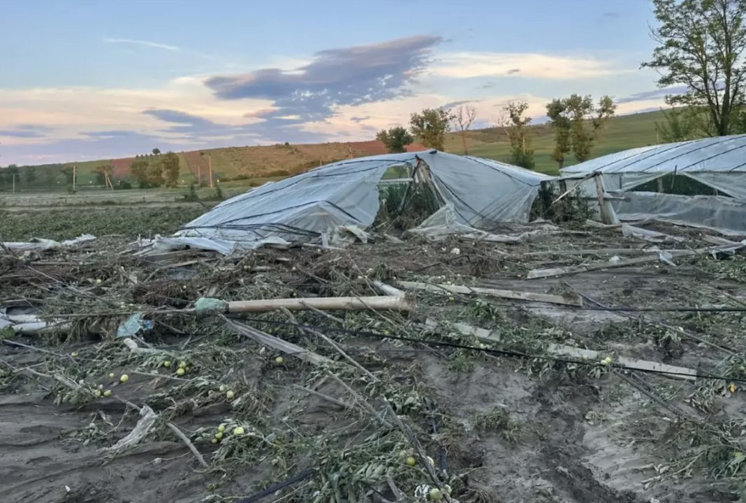 Collapsed plastic greenhouses in a field after a storm, with broken frames and scattered debris over muddy ground.