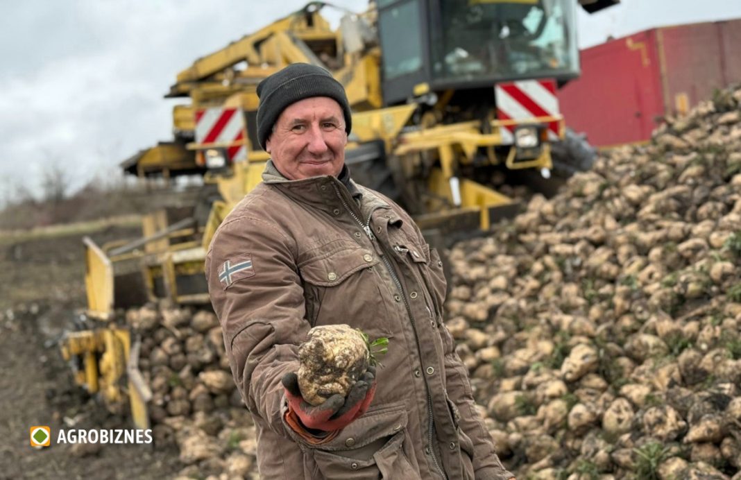 Farmer in a brown jacket and knit cap holds up a muddy potato in a potato field, with a yellow potato harvester and a pile of potatoes behind him.