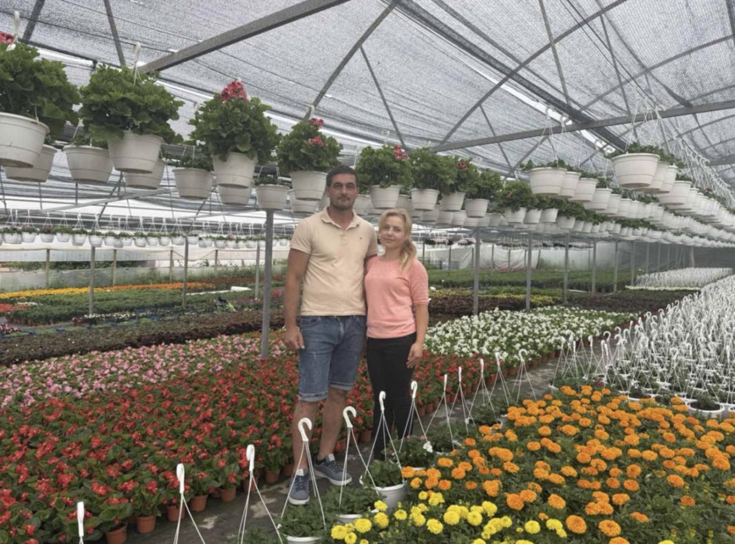 Couple standing in a greenhouse among rows of colorful potted flowers and hanging baskets.