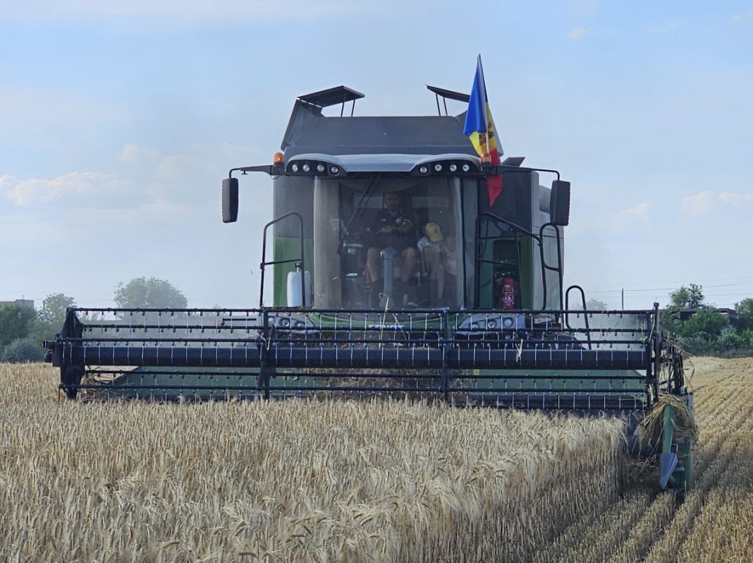 recoltare orz moldova