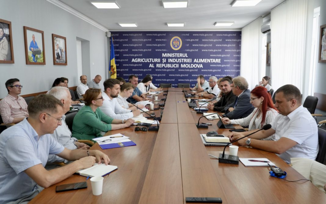 Officials seated around a long conference table in a Moldova government meeting room with a blue banner in the background reading Ministry of Agriculture and Food Industry of Moldova.