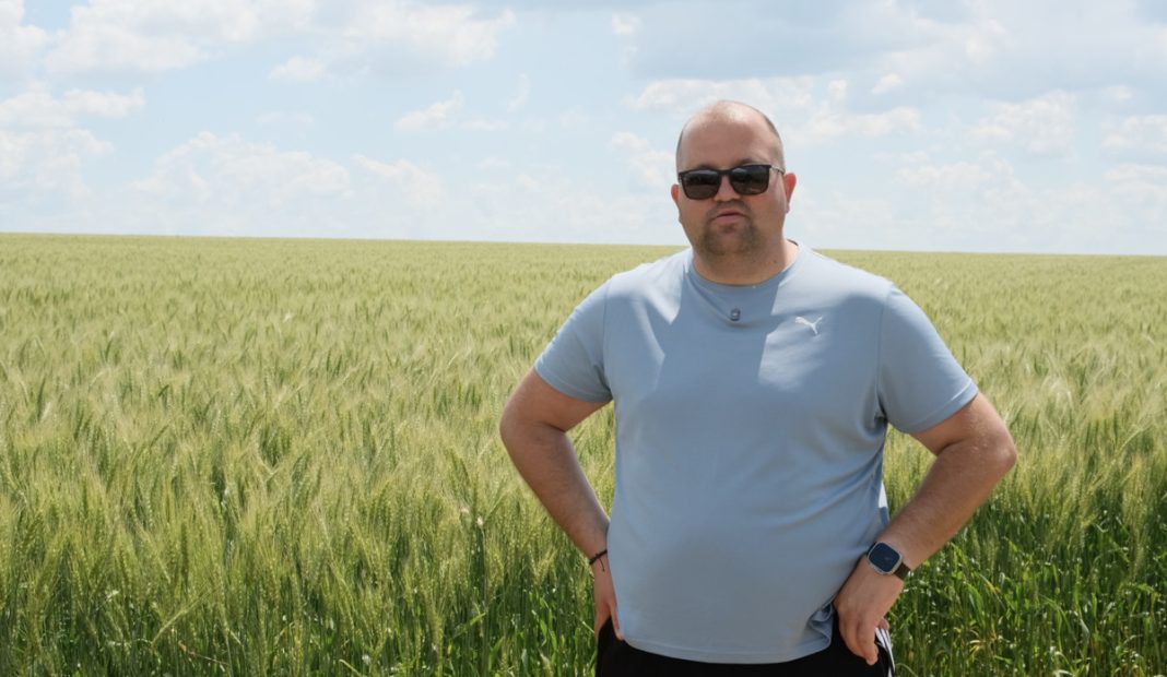 Man wearing a light blue shirt and sunglasses stands with hands on hips in a wide wheat field under a sunny sky.