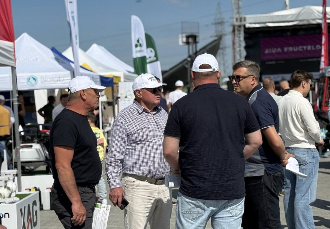 Group of men in casual clothes and white caps talking at an outdoor trade fair among vendor tents and banners behind them