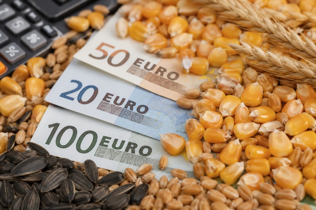 Euro banknotes (50, 20, 100) laid over corn, seeds, and wheat stalks, with part of a calculator visible in the corner, suggesting agricultural prices or costs.